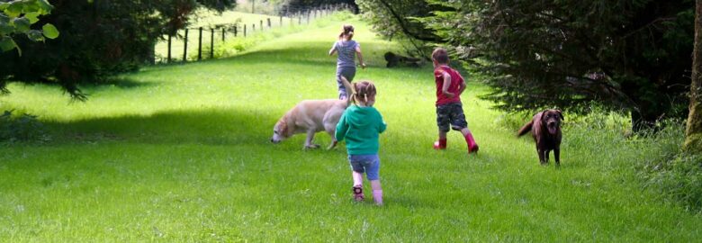 Wellstone Country Camping