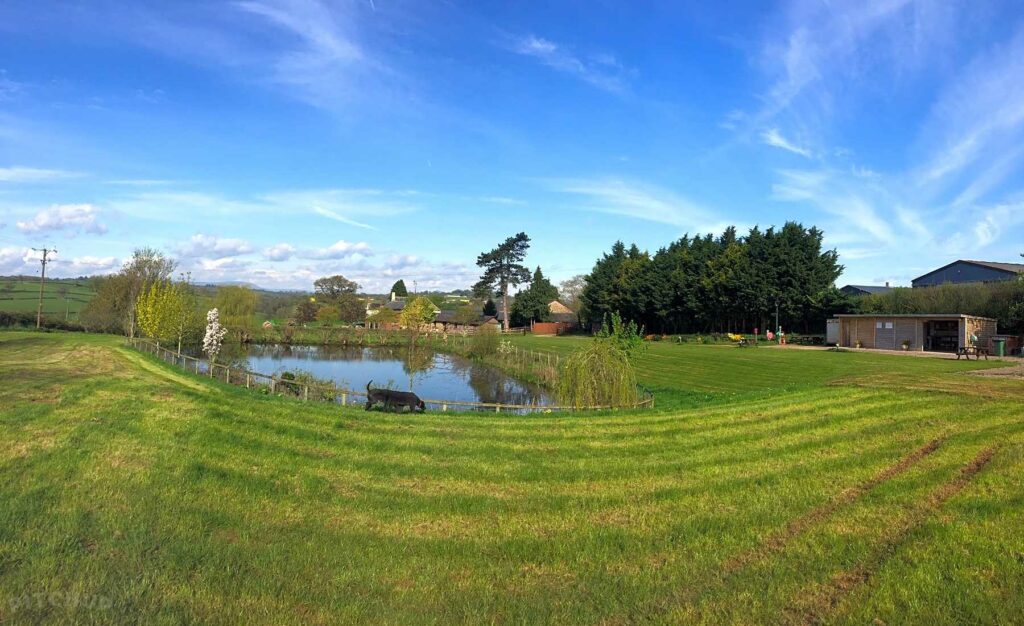 Hendre Farmhouse Orchard Campsite
