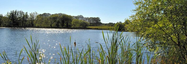 Fron Farm Fishery
