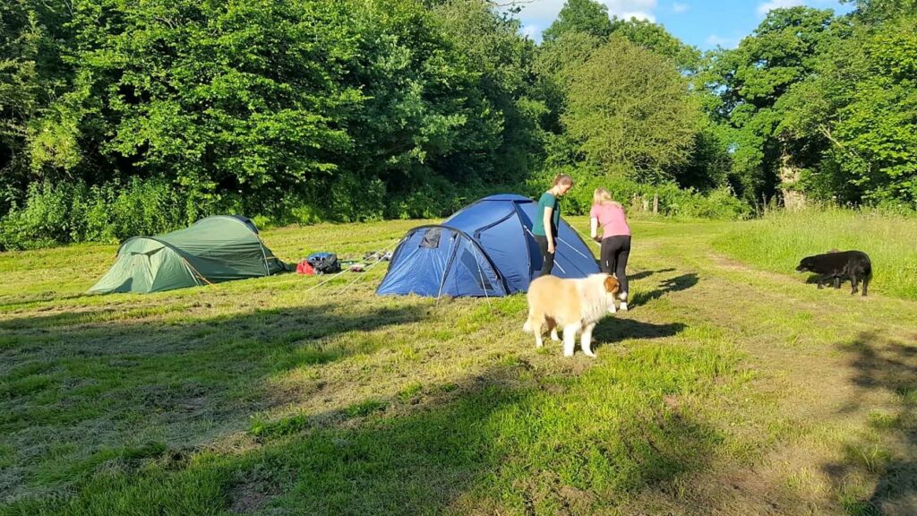 Pentwyn Dingle Rural Campsite