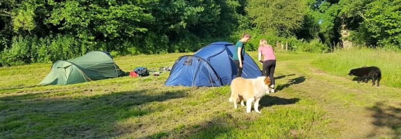 Pentwyn Dingle Rural Campsite