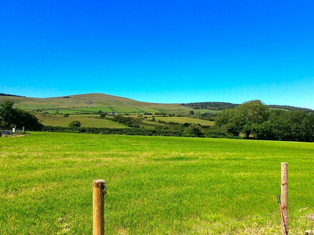 Brynhaul Camping and Shepherds Huts