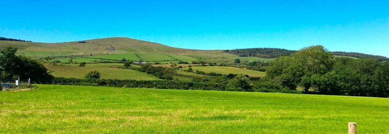 Brynhaul Camping and Shepherds Huts