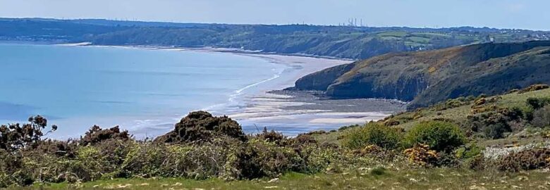 Thorning Farm Glamping and Camping