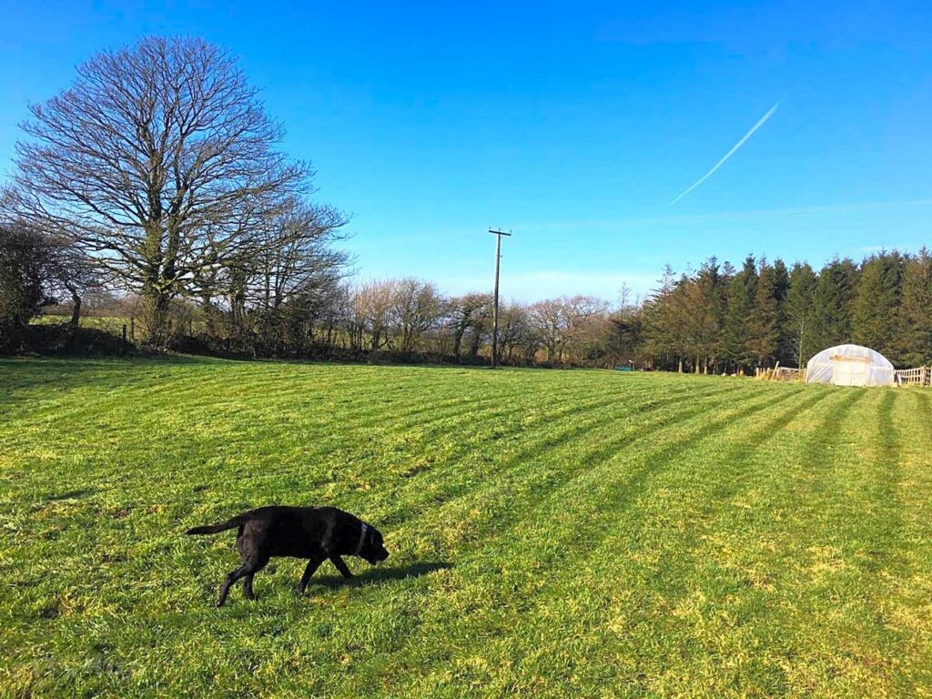 Tor Cefn Farm