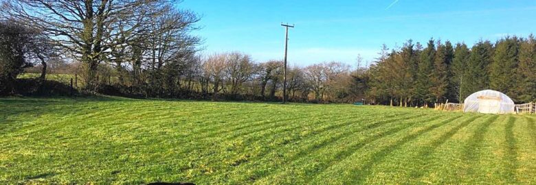 Tor Cefn Farm