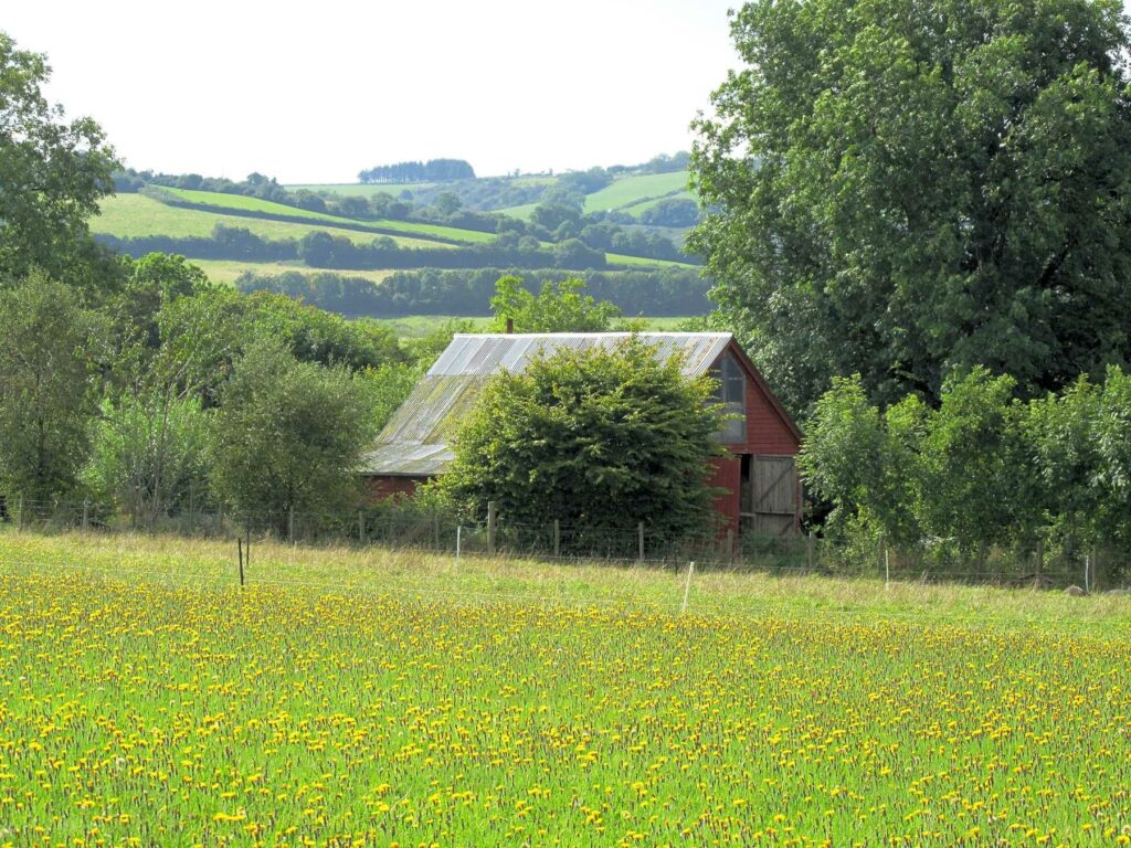 Dyfed Permaculture Farm Trust