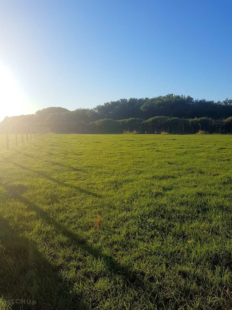Headlands Farm Camping