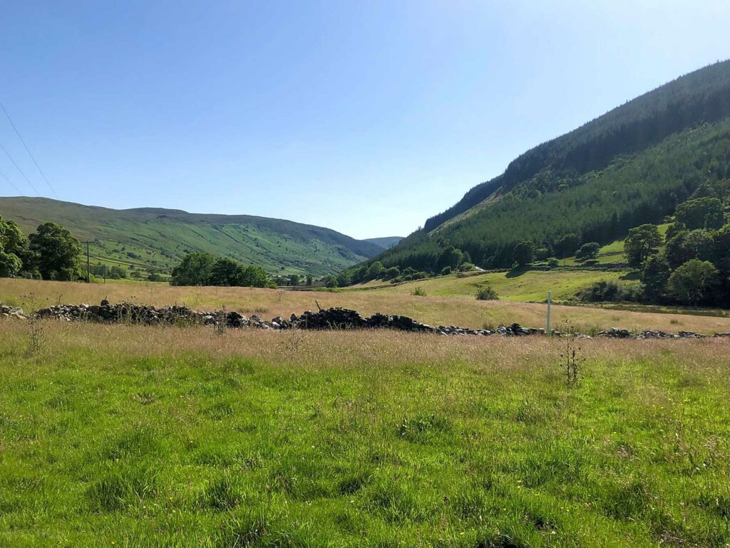 Cae Llwyd Farm