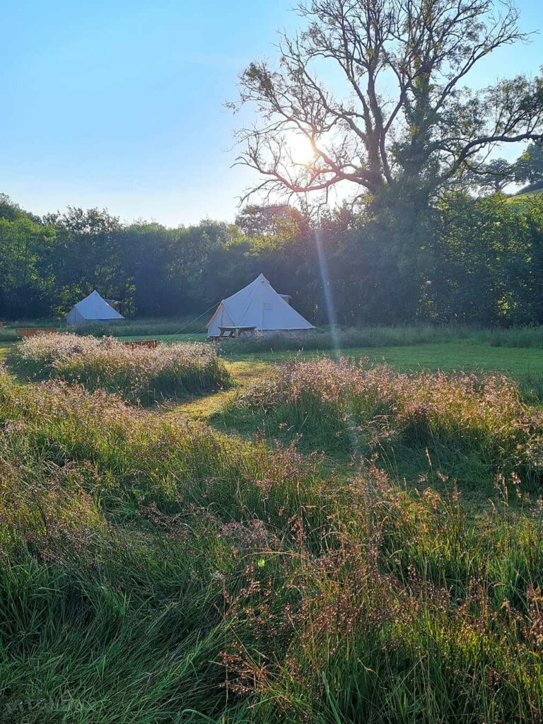 Tireithin Meadow Camping Retreat