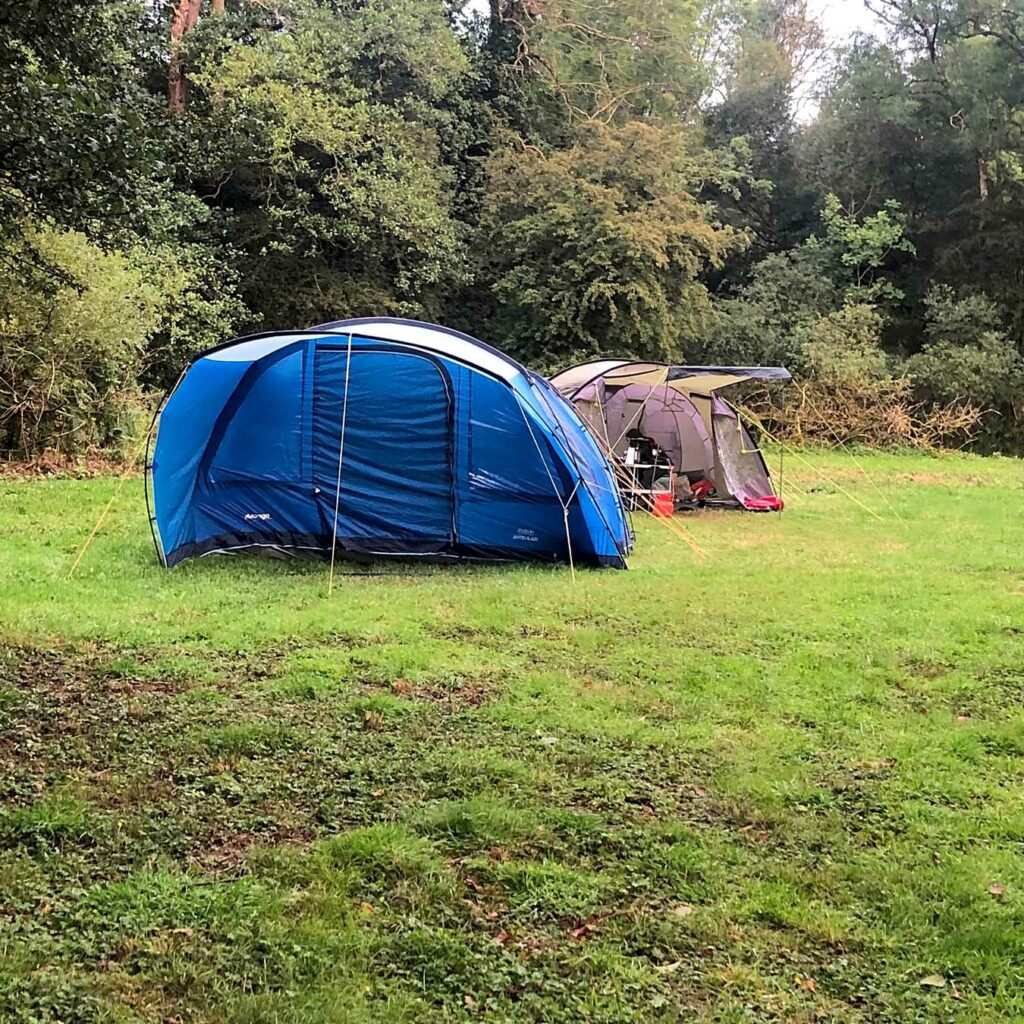 Rainbow Therapy Goats Campsite