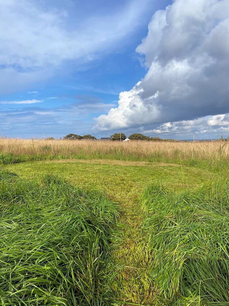Strumble Camping