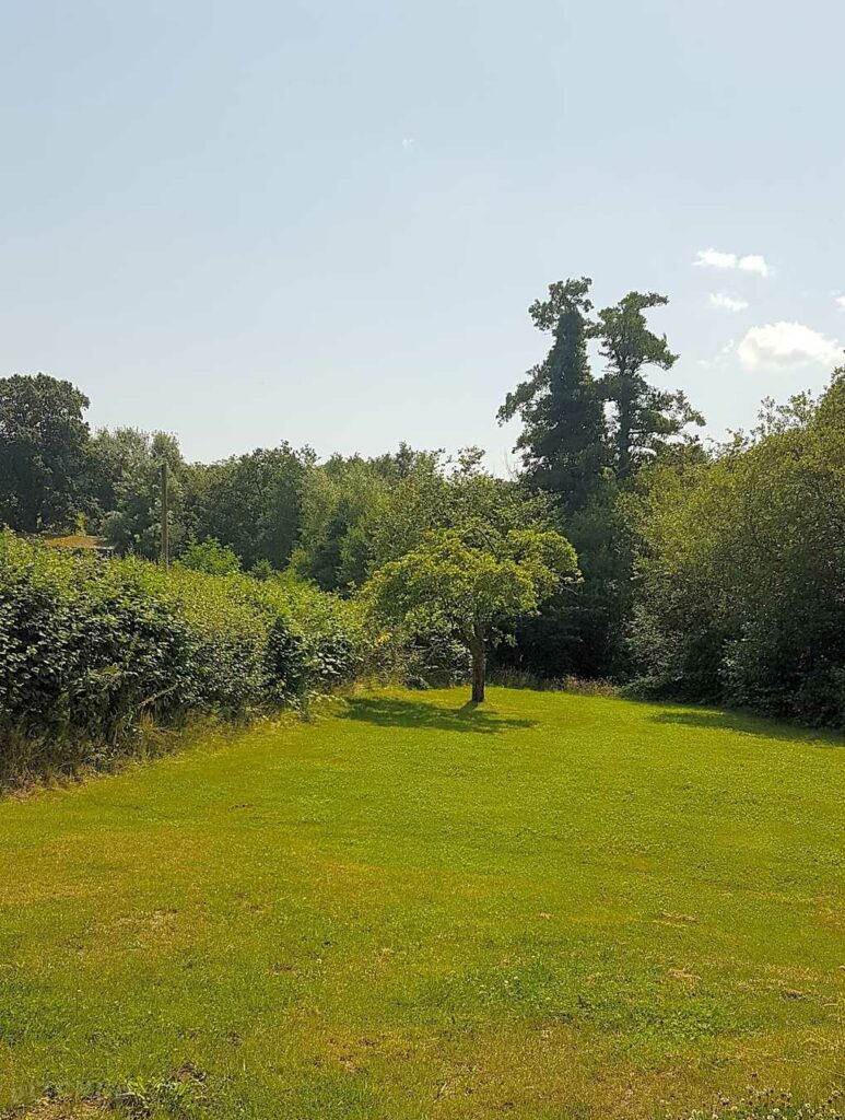 Cwmsoar Camping