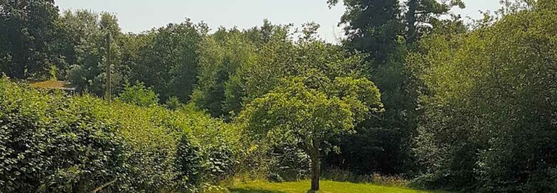 Cwmsoar Camping