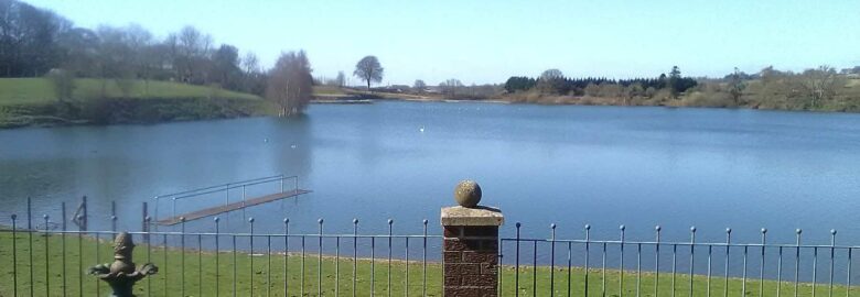 Ty Llyn