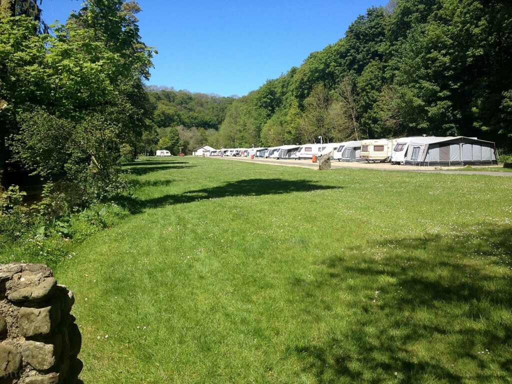 Llwyngwair Manor Holiday Park