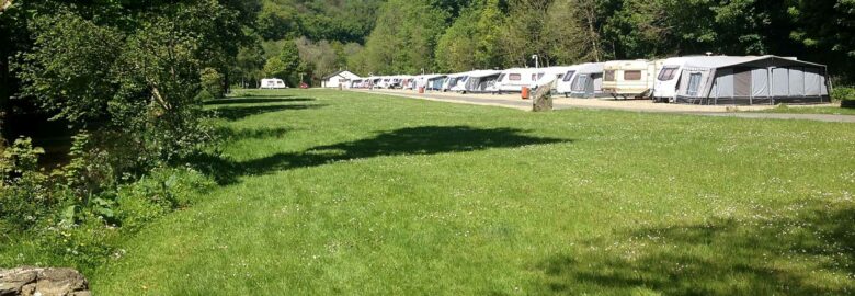 Llwyngwair Manor Holiday Park