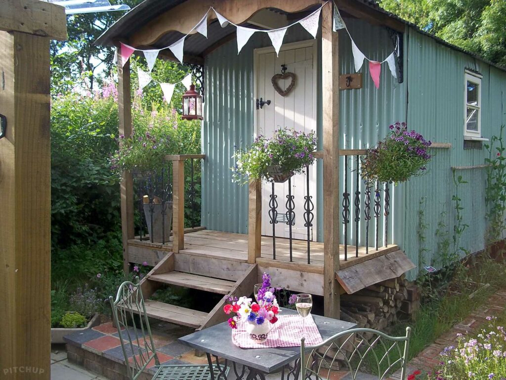 Teifi Meadows