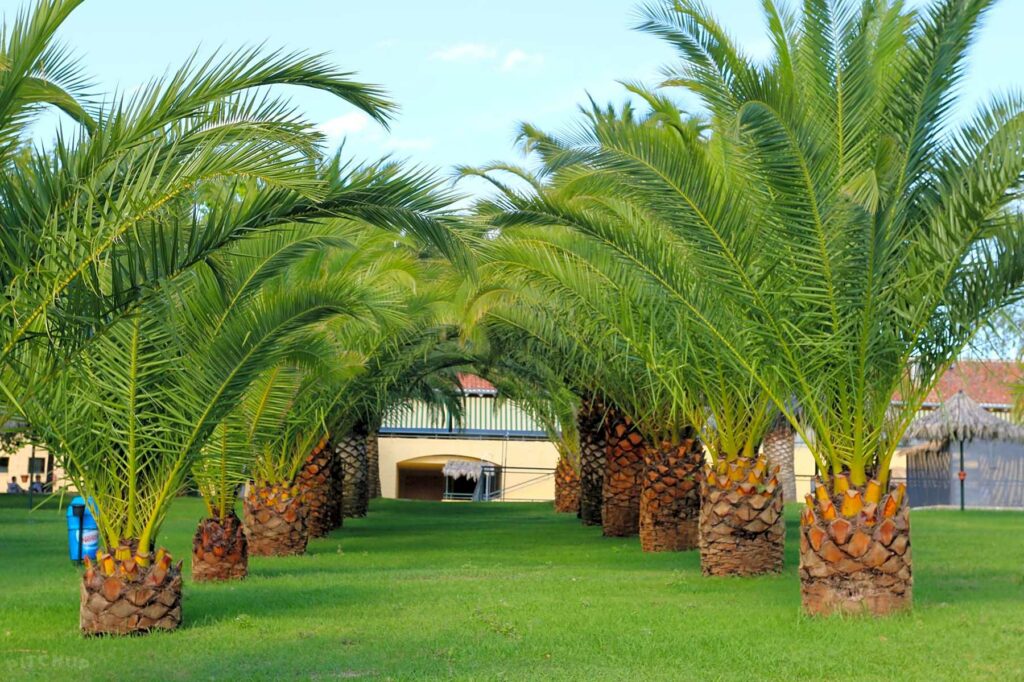 Camping Cáceres