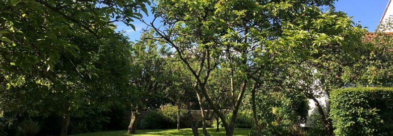 Myrtle Farm Holidays