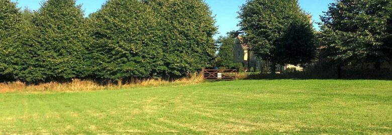 Barn Owl Campsite