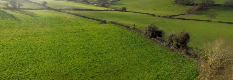 Caplor Farm