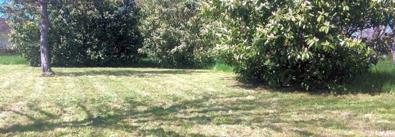 Camping Merry-sur-Yonne