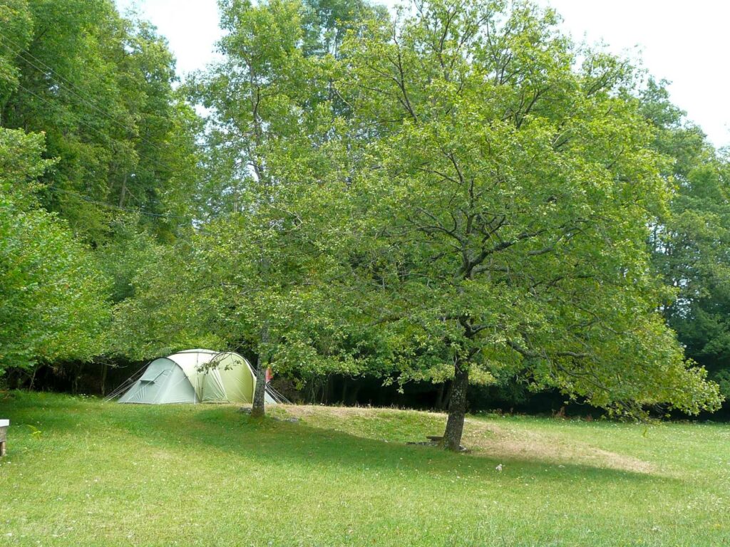 Camping La Clairière