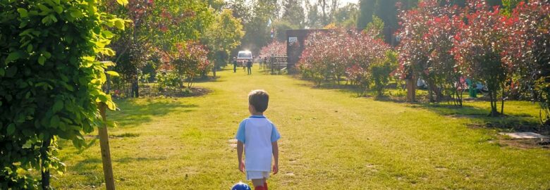 The Secret Garden Touring Park