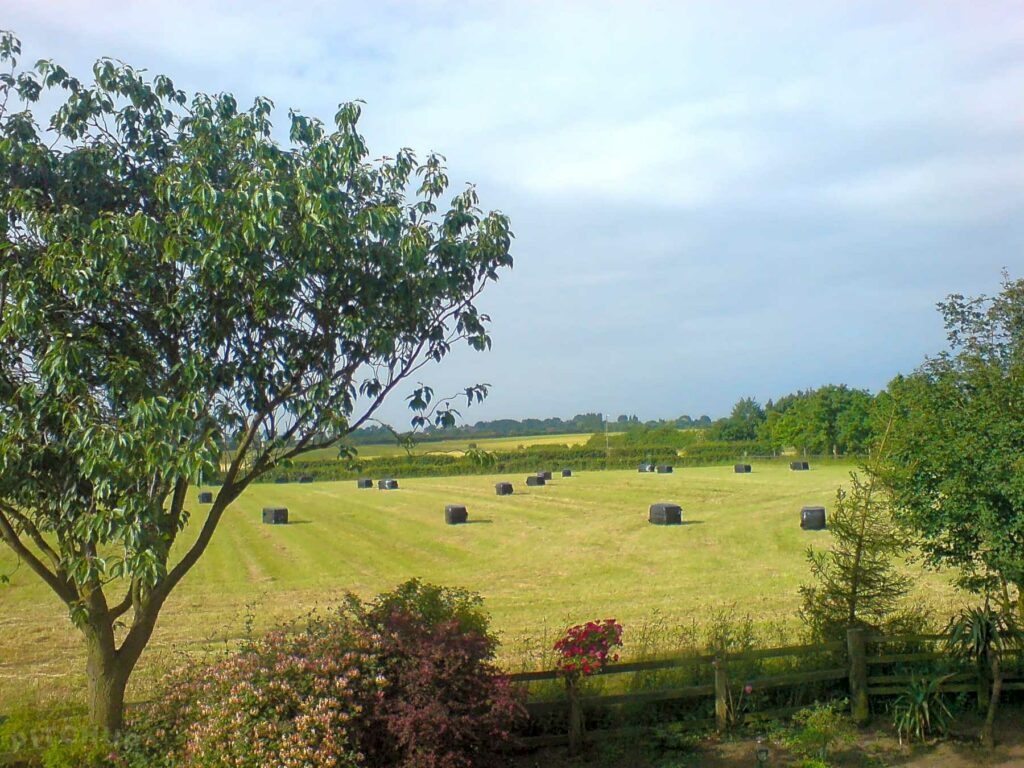 Setcops Farm
