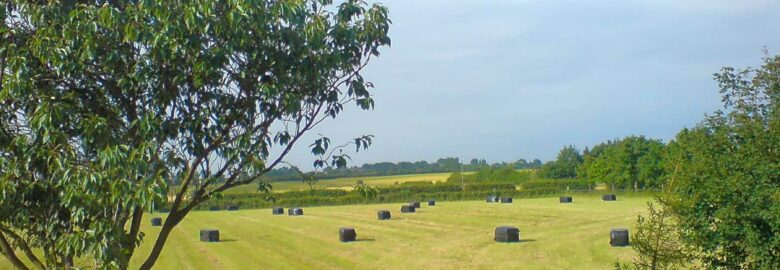 Setcops Farm