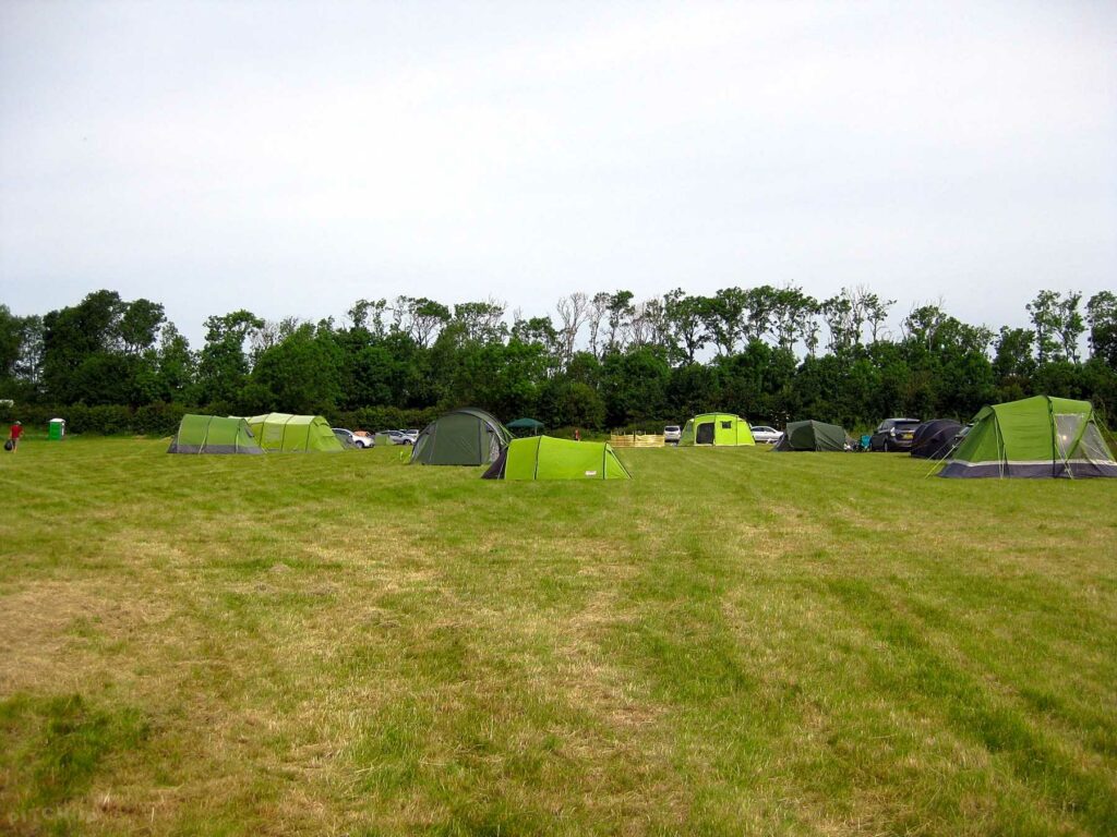 Alisons Woodpecker Camping Field