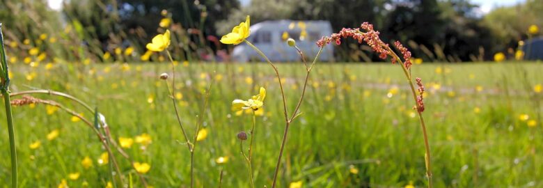 Bovey’s Down Farm