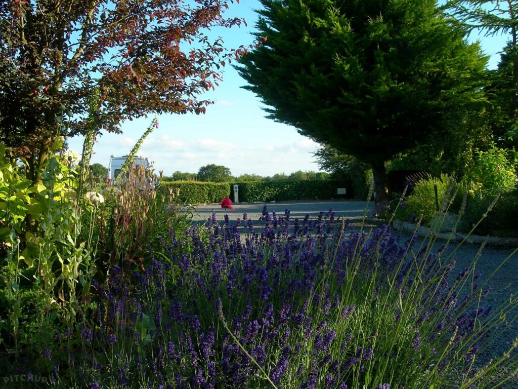 Mill Cottage