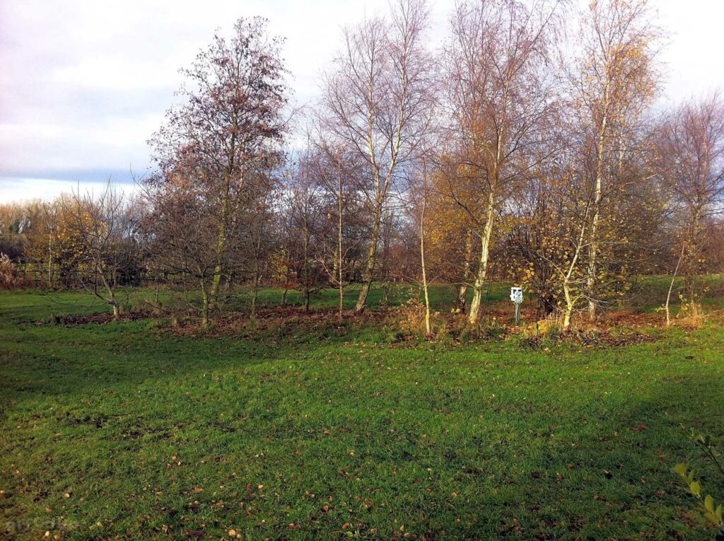 Moss Hagg Farm Campsite