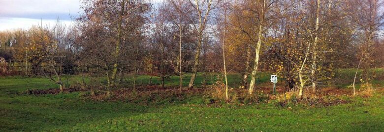 Moss Hagg Farm Campsite