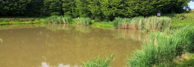Birchwood Fishing and Camping