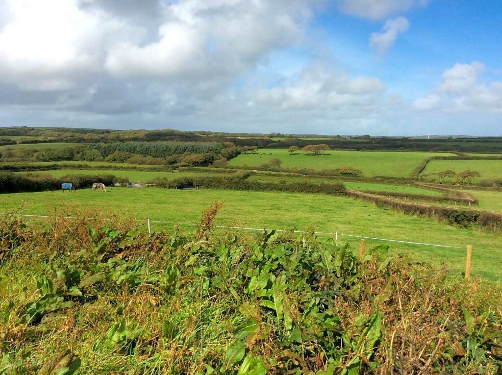 Farmer Phil’s Campsite