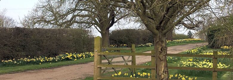 Rectory Farm
