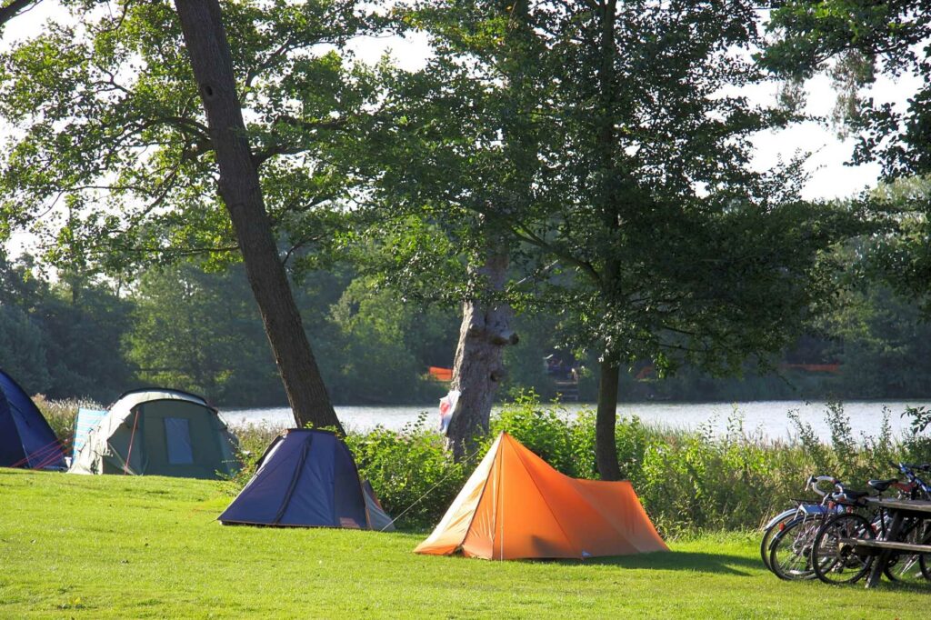 Gosfield Lake Resort