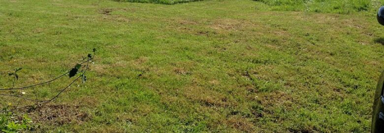 Hill Top Farm