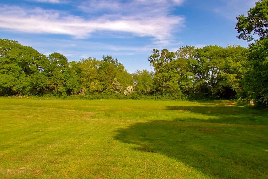 Meadow Tree Farm