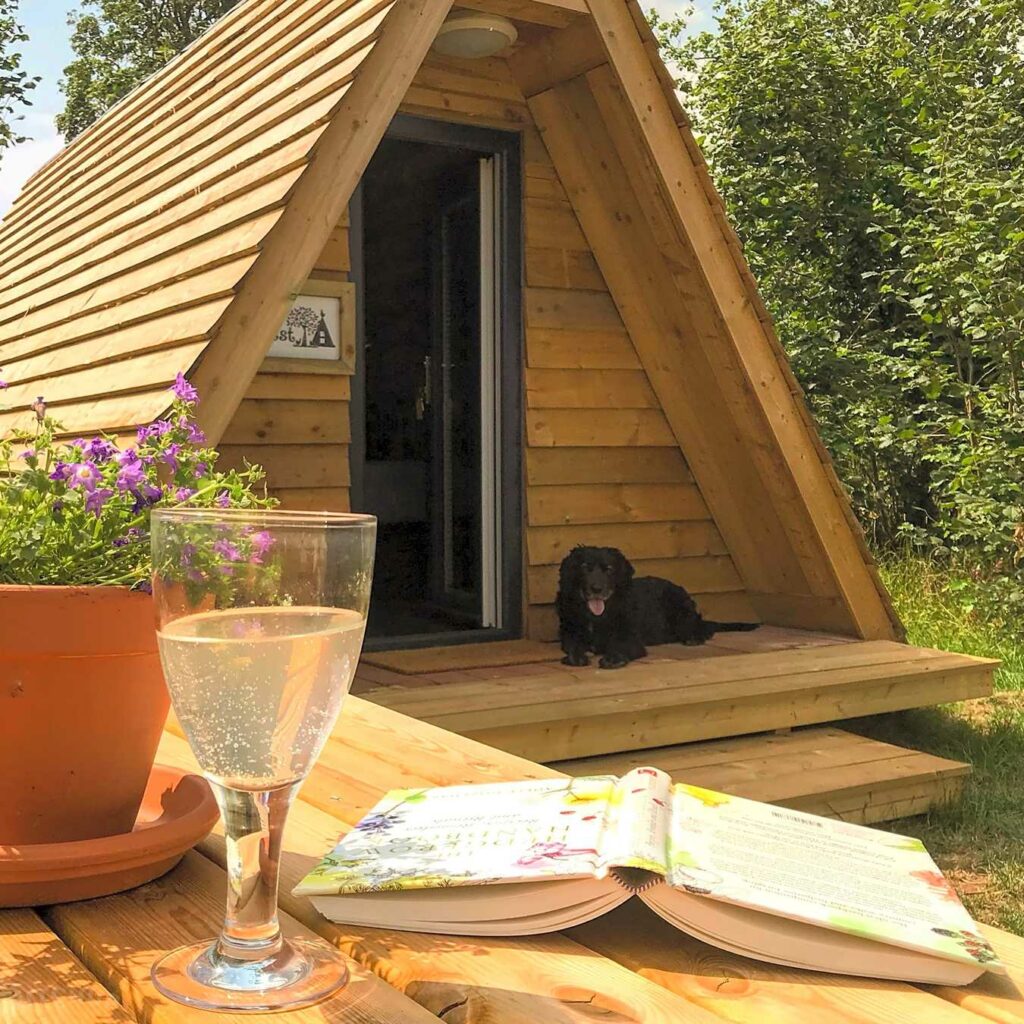 The Hen’s Dens at Orchard Organic Farm