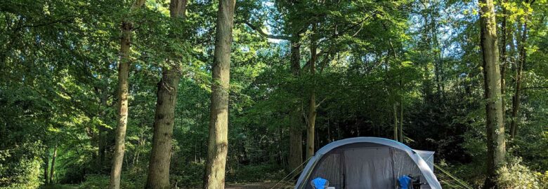 Evergreen Farm Woodland Campsite