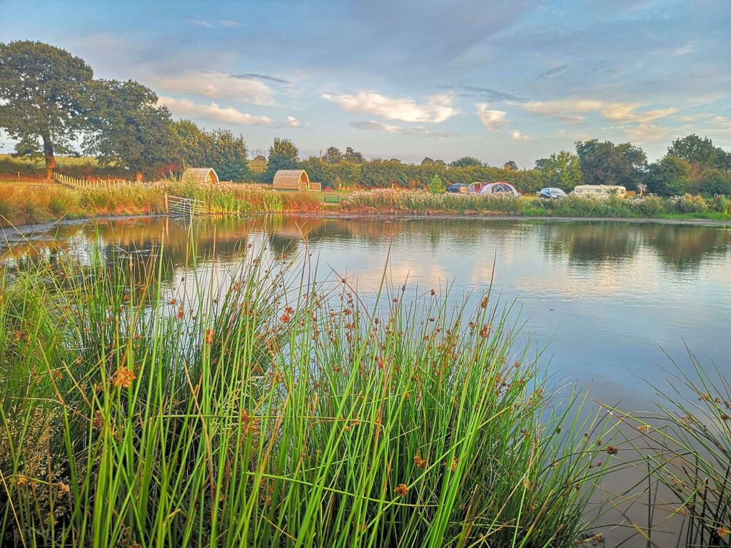 Hadley Park