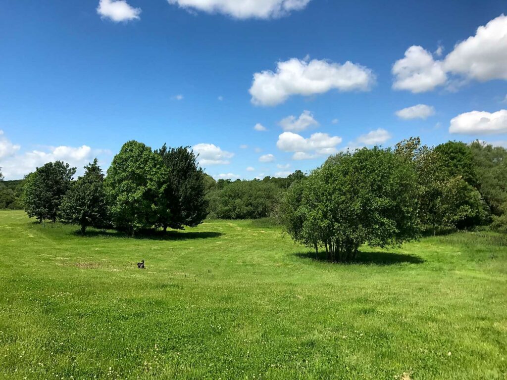 Cuckoo Farm Campsite
