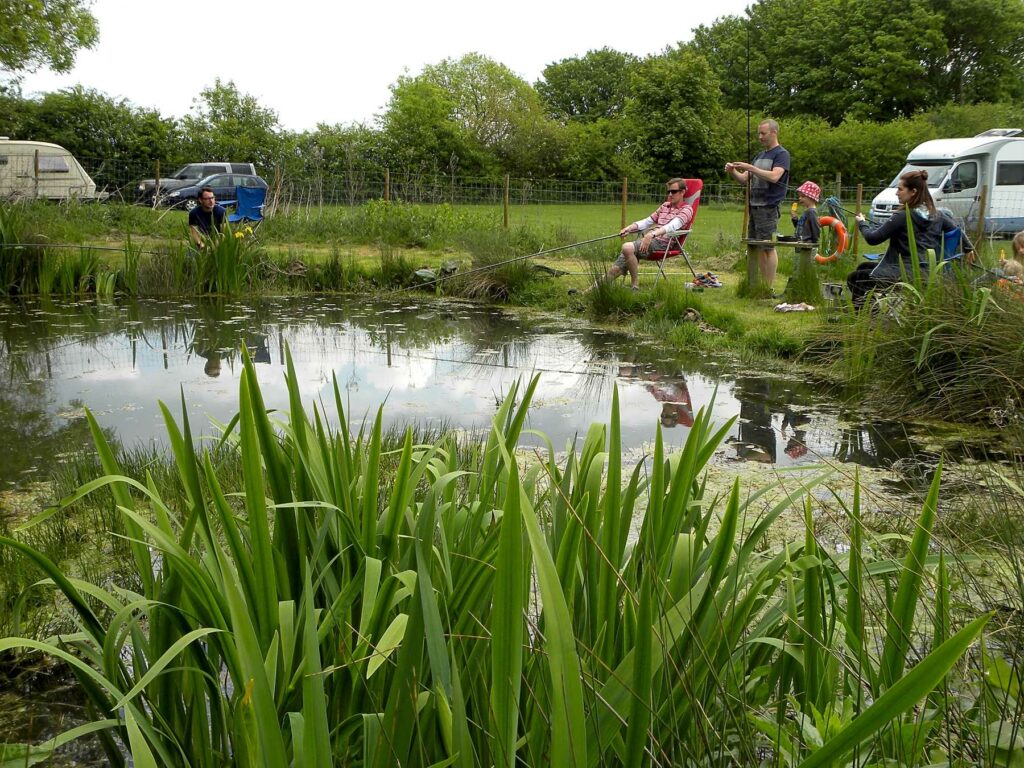 Spring Farm Campsite