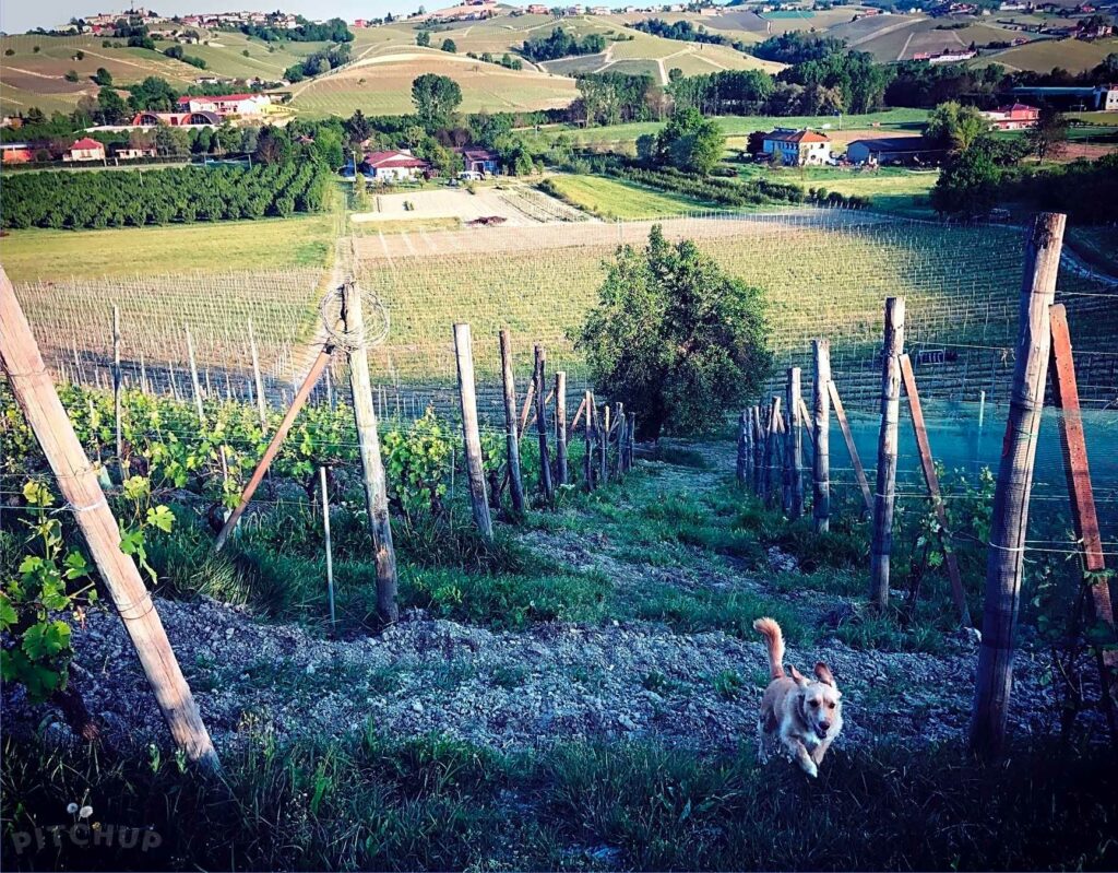 Campeggio Cascina Ballarin