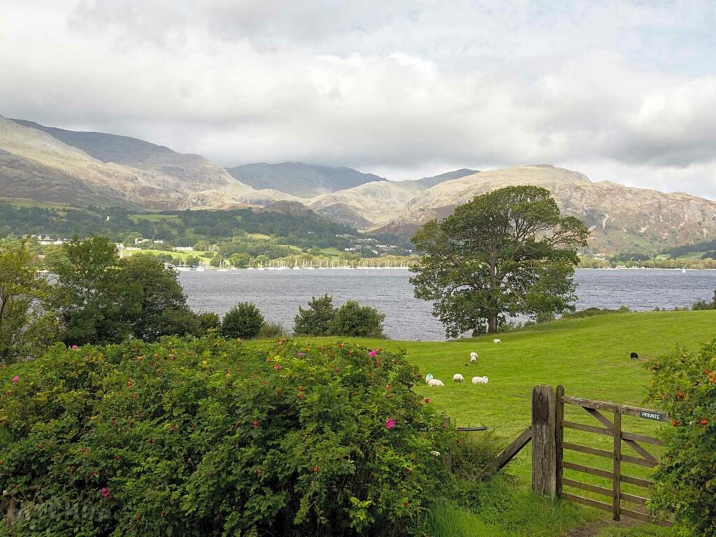 Coniston Experience Freedom Glamping