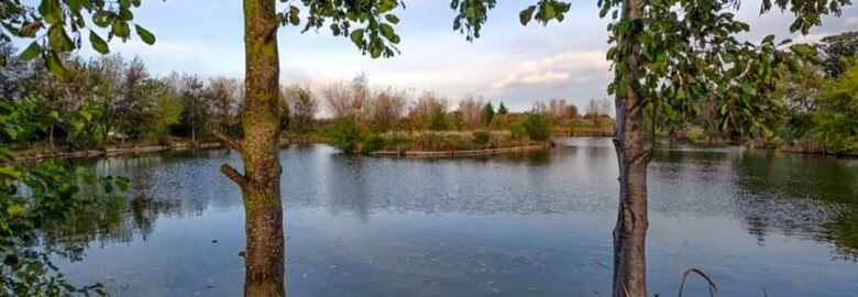 Oak Tree Holiday Park and Fishery